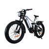 Full Suspension 1000W Power Retro Vintage E Bike Fat Tire Ebike 26*4.0 Fat Tire Electric Bike