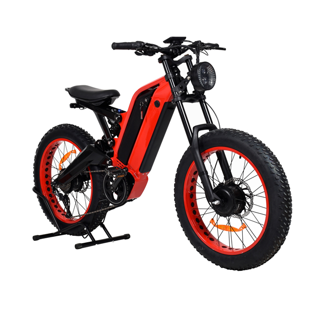 All-Terrain Excursions with Dual Motor E-Bikes