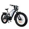 Full Suspension 1000W Power Retro Vintage E Bike Fat Tire Ebike 26*4.0 Fat Tire Electric Bike