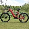Full Suspension 1000W Power Mountain E Bike Ebike with Thinner Tire