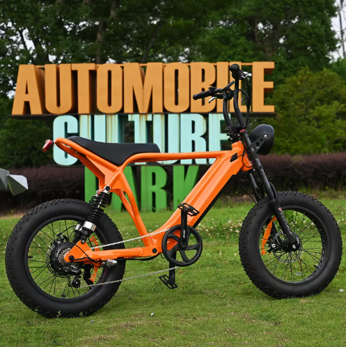 How Far Can A 750W Electric Bike Go?