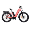 TDA26L Step Thru Dual Motor Fat Electric Bike