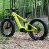 Carbon Fiber Electric Bike 1000W/1200W Mid Drive Motor Bike Truckrun Fat Tire Bike