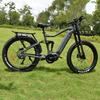 Fat Tire Electric Bike with Bafang M620 1000W mid drive motor fast speed