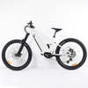 250W Full Suspension Electric Bike Suitable for Dadily Commute Bafang Mid Drive Motor Bike