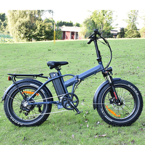 Foldable 20 inch Fat Tire electric bike
