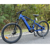 Full Suspension 1000W Power Mountain E Bike Ebike with Thinner Tire