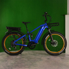 Dual Battery Eletcirc Bike High Power Electric Fat Tire Bike 1500W Hub Motor