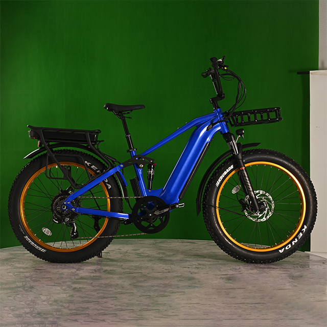 Dual Battery Eletcirc Bike High Power Electric Fat Tire Bike 1500W Hub Motor