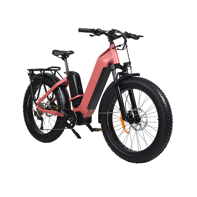 Discover Endless Possibilities with Dual Motor EBikes Eshion