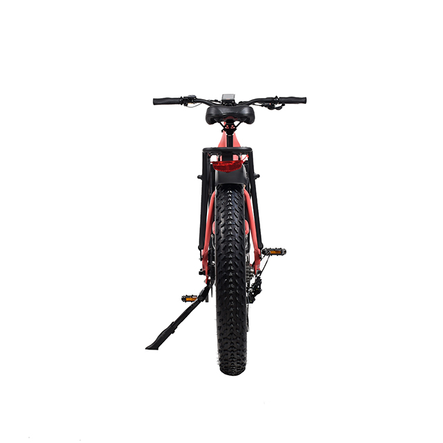 The 20" Folding E-Bike Revolution for Easy Means of Transport