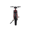 TDA26L Step Thru Dual Motor Fat Electric Bike