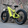 Carbon Fiber Electric Bike 1000W/1200W Mid Drive Motor Bike Truckrun Fat Tire Bike