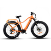 Hard Tail Bike Electric 26" Inch Fat Tyre Bike Bafang 500W Mid Motor Electric Bike 
