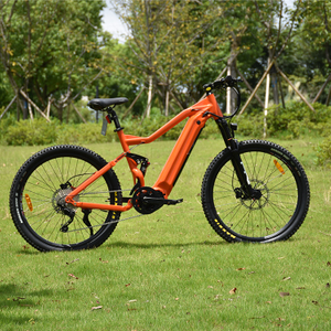 500W Mid Drive Motor Mountain Electric Bike Full Suspension Design MTB