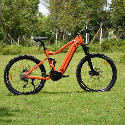 500W Mid Drive Motor Mountain Electric Bike Full Suspension Design MTB