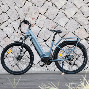 Hard tail city e-bike