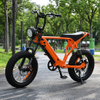 Rear Hub Motor Bike with 20