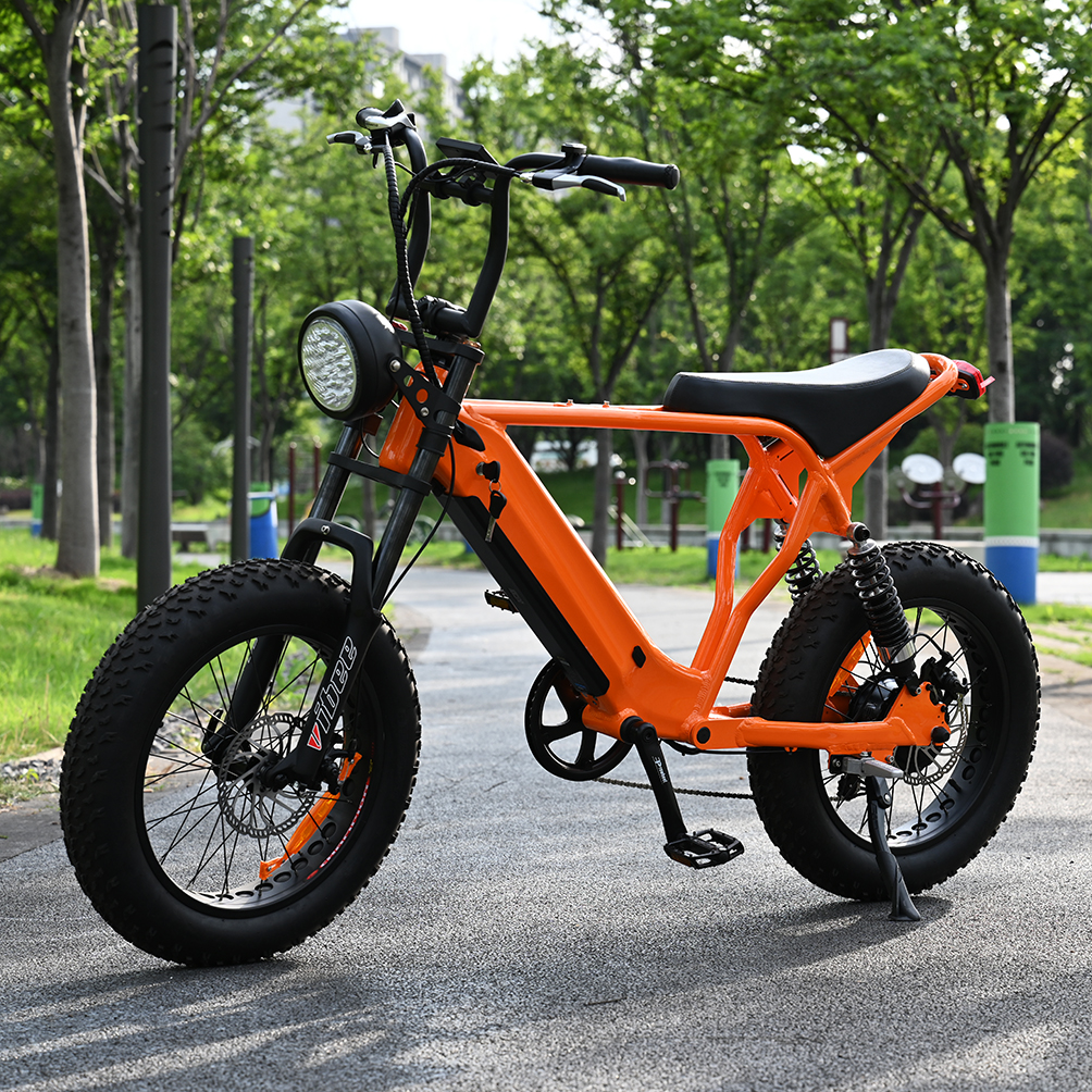 Rear Hub Motor Bike with 20