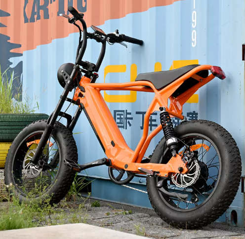electric bike electric bike