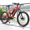 Dual Battery MTB 1000W Mid Drive Motor Bike Powerful Mountain Electric Bike