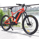 Dual Battery MTB 1000W Mid Drive Motor Bike Powerful Mountain Electric Bike