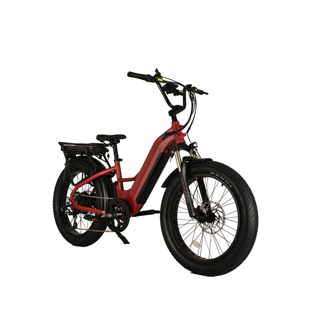 Dual Battery Electric Bike with Rear Hub Motor Design 26