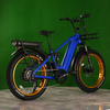 Dual Battery Eletcirc Bike High Power Electric Fat Tire Bike 1500W Hub Motor