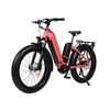 TDA26L Step Thru Dual Motor Fat Electric Bike