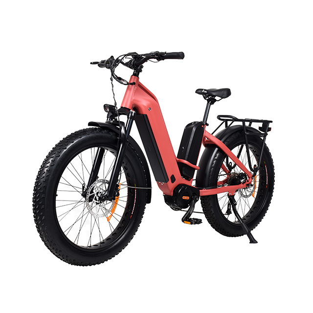 TDA26L Step Thru Dual Motor Fat Electric Bike