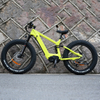 Carbon Fiber Electric Bike 1000W/1200W Mid Drive Motor Bike Truckrun Fat Tire Bike