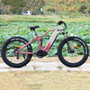 1000W/1200W Truckrun Mid Motor Electric Bike Single/dual Battery Option Fat Tire Electric Bike