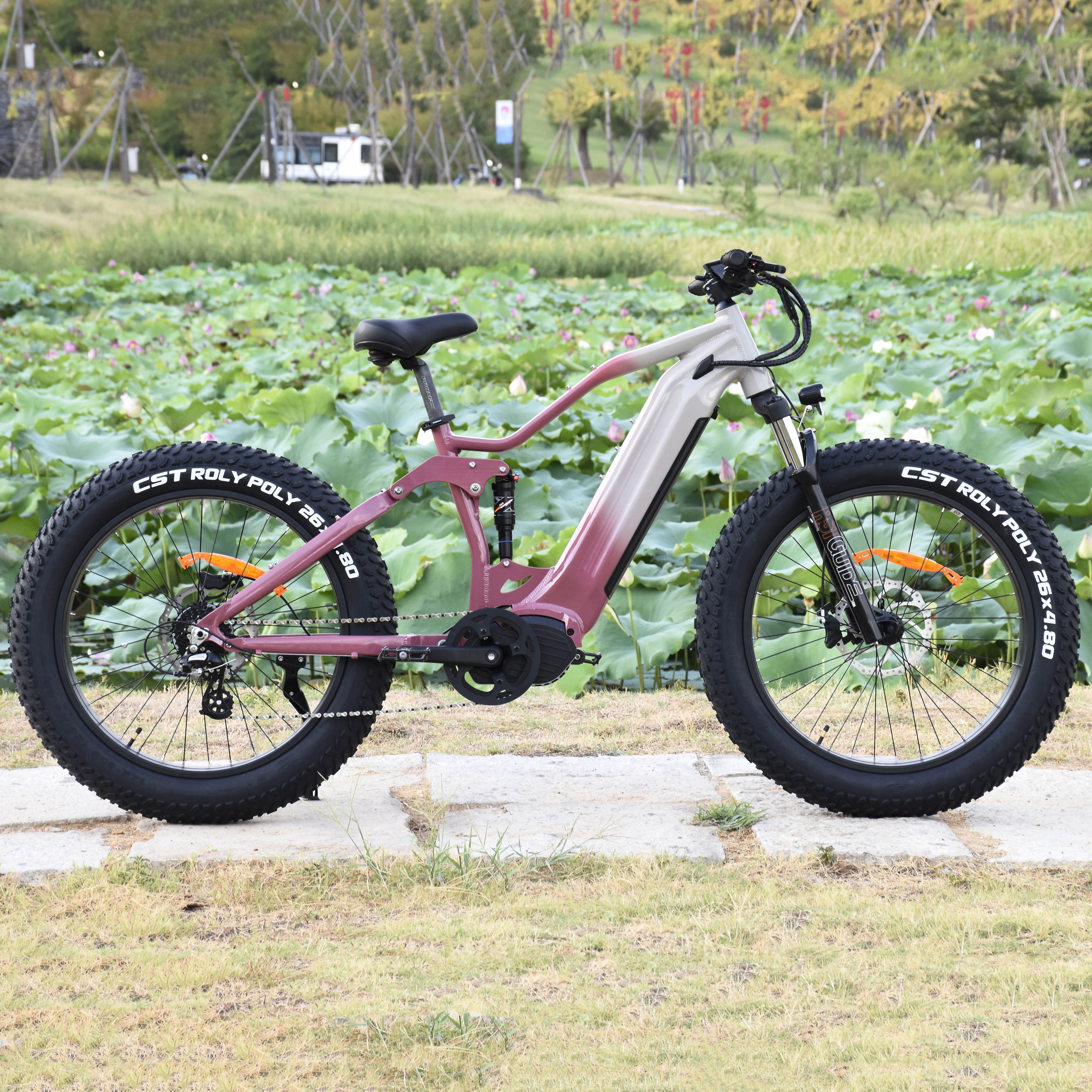 1000W/1200W Truckrun Mid Motor Electric Bike Single/dual Battery Option Fat Tire Electric Bike