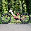 1000W/1200W Truckrun Mid Motor Electric Bike Single/dual Battery Option Fat Tire Electric Bike