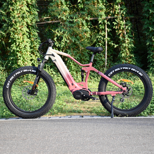 1000W/1200W Truckrun Mid Motor Electric Bike Single/dual Battery Option Fat Tire Electric Bike