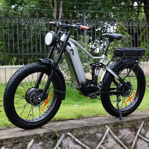 Powerful Dual Motor Dual Battery Electric Bike 52V 1000W+1000W Fat Tire Model for Sell