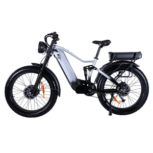 Sporty Trail Riding Dual Motor Electric Bike With Controller