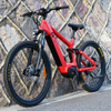 Carbon Fiber Electric Bike 1000W/1200W Mid Drive Motor Bike Truckrun MTB