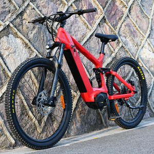 Carbon Fiber Electric Bike 1000W/1200W Mid Drive Motor Bike Truckrun MTB