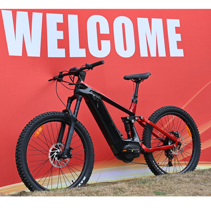 1000w/1200w Mountain Bike Electric 180Nm/240Nm Max Torque Full Suspension MTB for sale