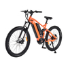 Dual Battery MTB 1000W Mid Drive Motor Bike Powerful Mountain Electric Bike