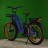 Dual Battery Eletcirc Bike High Power Electric Fat Tire Bike 1500W Hub Motor