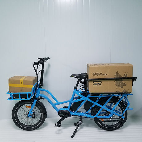 e-bike for delivery .jpg