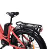 TDA26L Step Thru Dual Motor Fat Electric Bike