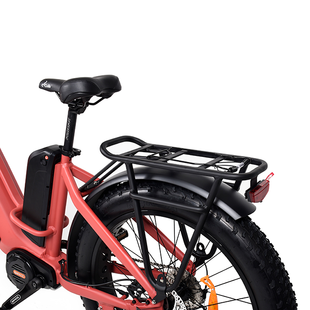 TDA26L Step Thru Dual Motor Fat Electric Bike