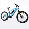 Dual Battery MTB 1000W Mid Drive Motor Bike Powerful Mountain Electric Bike
