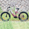 1000W/1200W Truckrun Mid Motor Electric Bike Single/dual Battery Option Fat Tire Electric Bike