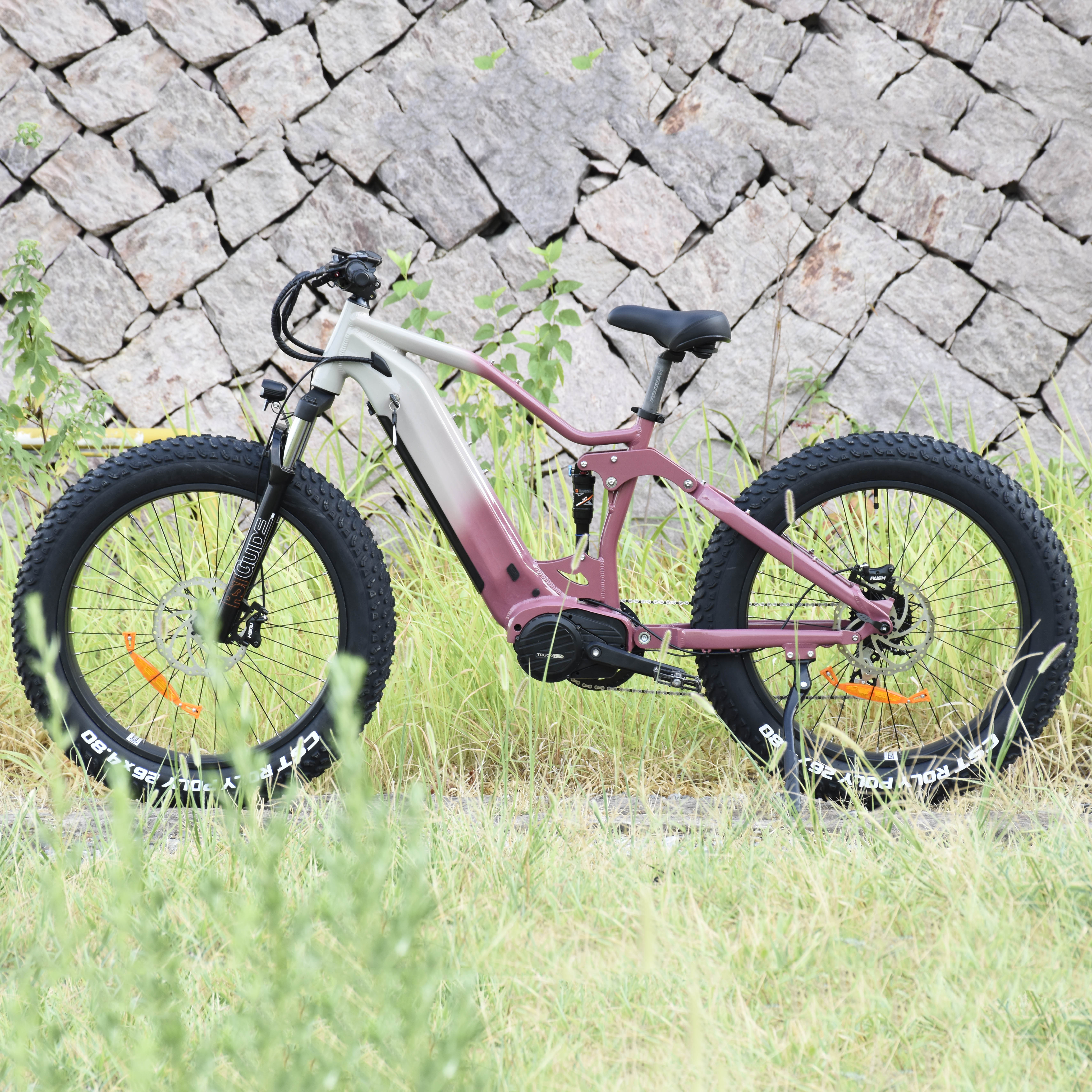 1000W/1200W Truckrun Mid Motor Electric Bike Single/dual Battery Option Fat Tire Electric Bike