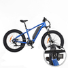 Bafang M600 500W Fat Tire Electric Bike for Sale Max Speed 45km/h Removable Lithium Battery