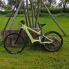 Carbon Fiber Electric Bike 1000W/1200W Mid Drive Motor Bike Truckrun MTB